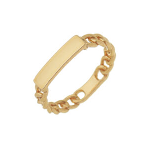 ANEL ELOS CORRENTES E PLAQUINHA LISA RAHRA FOLHEADO A OURO 18K